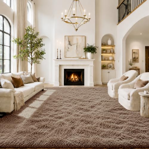 Area Rugs10x14 for Living Room (Beige / 10' x 14' (Rectangular))