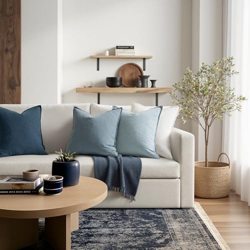 Blue Boho Linen Decorative Pillow Covers 20x20 Inch Pack of 4 (20" x 20" (Pack of 4) / Blue)