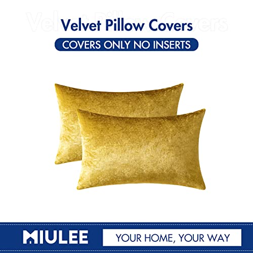 12x20 Inch Lumbar Velvet Throw Pillow Covers Golden (20" x 12" (Pack of 2) / Golden)