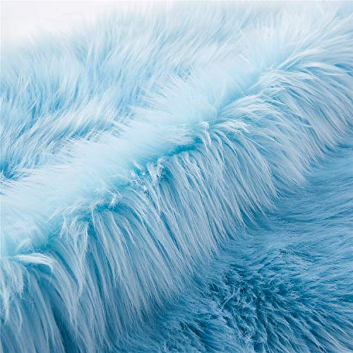 Ultra Soft Fluffy Shaggy Area Rug Faux Fur Rug Chair Cover Seat Pad Fuzzy Area Rug for Bedroom Floor Sofa Living Room (Sky Blue / 2' x 6' (Sheepskin))