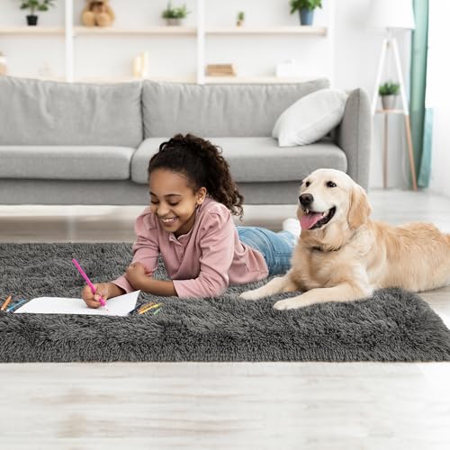 Fluffy Runner Rugs for Bedroom Aesthetic 2x6 Shag Soft Bedside Rug (Dark Grey / 2' X 6' (Runner))