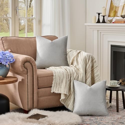 Silver Grey Velvet Throw Pillow Covers 24x24 Pack of 2 (Silver Grey / 24" x 24" (Pack of 2))