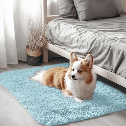 2x3 Machine Washable Small Bedside Rug (2x3 Ft / Light Blue)
