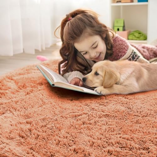 Muted Orange Round Rugs for Bedroom (9 Ft Round / Muted Orange)