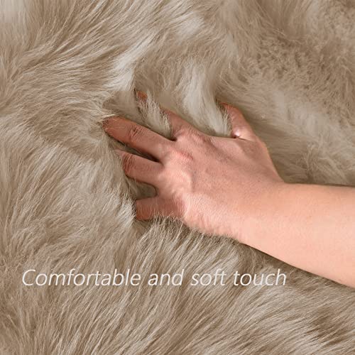 Washable 3x4 Light Brown Sheepskin Fluffy Shag Plush Faux Fur Rug for Living Room Bedroom Dorm Room Throw Rectangle (3' x 4' (Rectangular) / Beige)