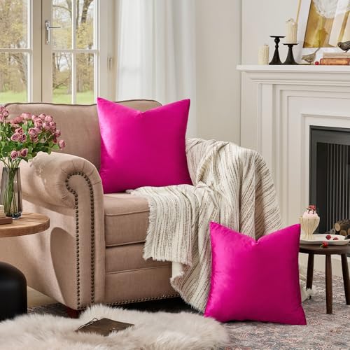 Hot Pink Velvet Pillow Covers 18x18 Decorative Pillows Pack of 2 (Hot Pink / 18" x 18" (Pack of 2))
