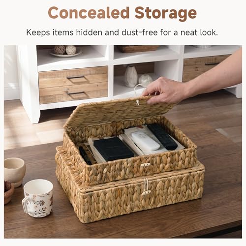 Wicker Basket with Lid (Natural(Water Hyacinth) / 16½"L x 11¾"W x 4½"H + 14½"L x 10"W x 3¼"H)