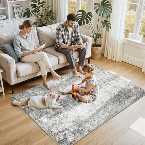 Washable 4'x6' Abstract Area Rug for Living Room Gray White (Gray/White / 4' x 6' (Rectangular))