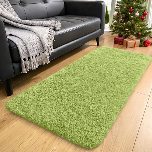 2x4 Machine Washable Runner Rugs for Hallway (2x4 Ft / Grass Green)