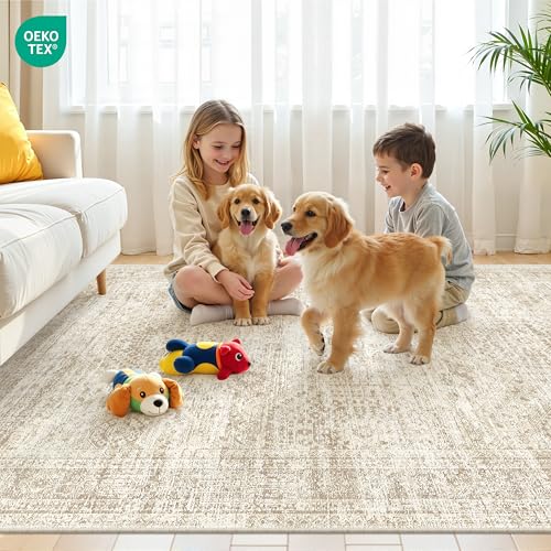 5x7 Area Rugs for Living Room (Beige/Ivory / 5' x 7' (Rectangular))