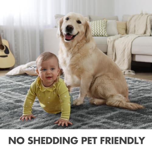 Shag Rugs for Bedroom Living Room (Fe Grey 5sm11 / 4' X 6' (Rectangular))