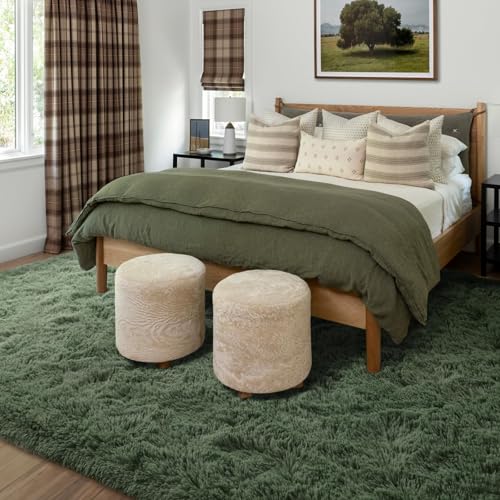 5x7 Ft Shag Green Area Rug for Bedroom Living Room (Bb Green / 5' X 7' (Rectangular))