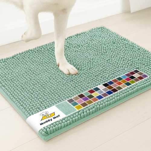Super Water Absorbent Door Mat Indoor (Seafoam Green / 16" x 24")