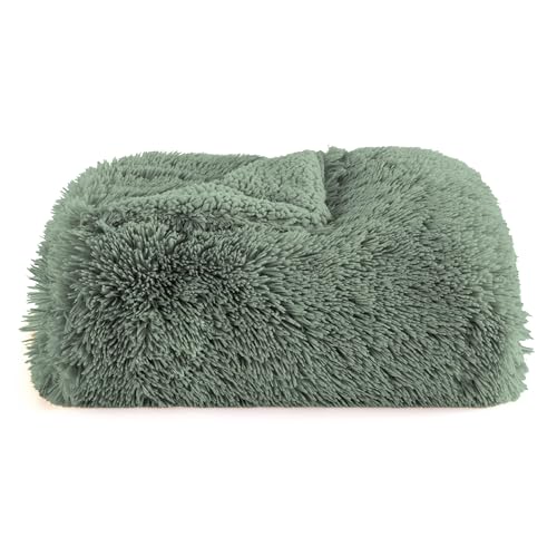 Faux Fur Fluffy Sherpa Blanket Couch Throw Sage Green 50"x60" (12- Sage Green / Throw (50" X 60"))