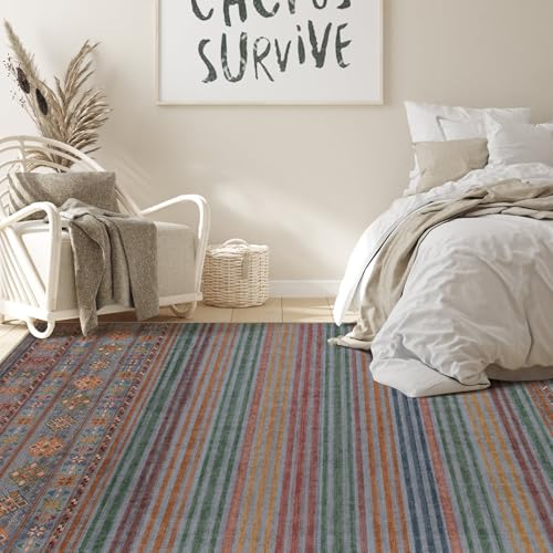 Boho 5x7 Area Rug Living Room Rugs Machine Washable Multi Color (Multi Color 01 / 5' X 7' (Rectangular))