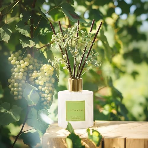 Reed Diffuser (6.7 Ounce/1pack)