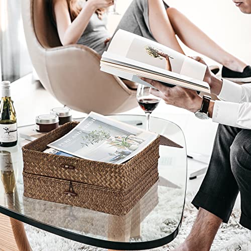 2 Packs FLat Woven Wicker Basket Bin with Lid (Large+Large / Coffee)