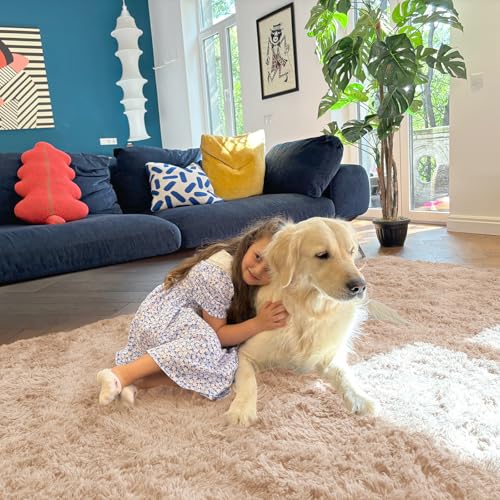 2x2 Machine Washable Small Rug (2×2 Ft Square / Beige)