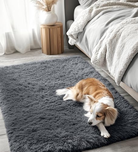 3x5 Machine Washable Small Bedside Rug (3x5 Ft / Grey)