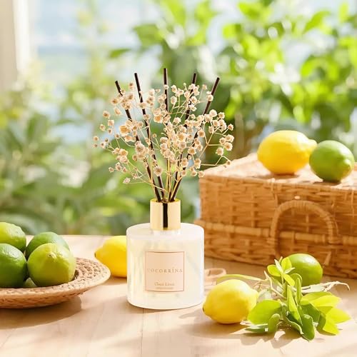 Reed Diffuser Set (6.7 Ounce/1pack)