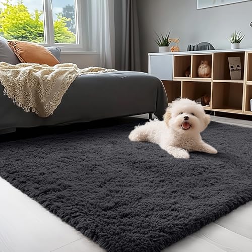 4x7 Area Rugs for Living Room Bedroom (4x7 Ft / Black)