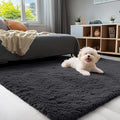 3x5 Machine Washable Small Bedside Rug (3x5 Ft / Black)