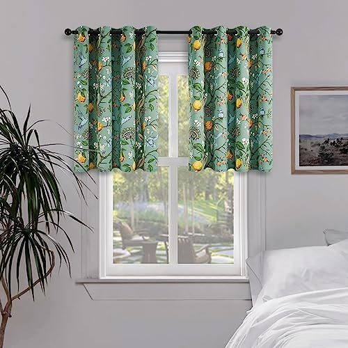 Sage Green Small Kitchen Curtains 36 Inch Watercolor Botanical Floral Hummingbird Grommet Thermal Insulating Tier Curtains (Sage Green / 52"W x 36"L (Pack of 2))