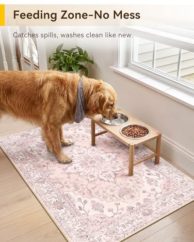 Washable Area Rug (Pink / 2' x 3' (Rectangular))