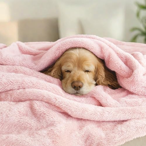 Fuzzy Plush Fleece Bed Blanket Queen Size (Light Pink / 90x90 IN)