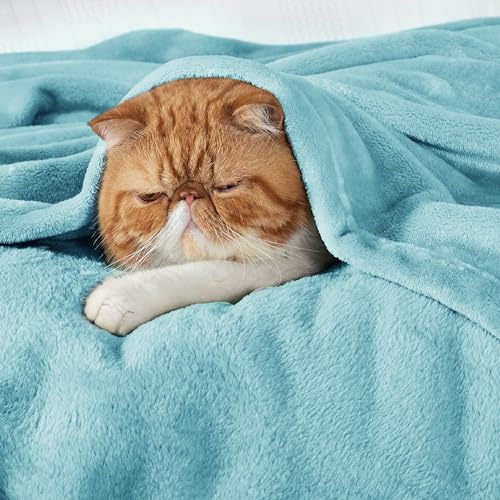 GentleSoft Fleece Throw Blanket for Couch River Blue (River Blue / Throw (50" X 60"))