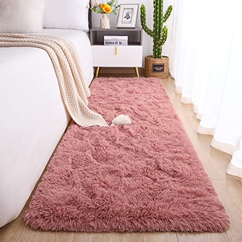 Soft Runner Rug for Bedroom Living Room Plush Fluffy Rug 2x10 (Blush / 2' x 10' (Runner))
