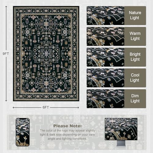 6x9 Area Rugs Living Room (Black / 6' x 9' (Rectangular))