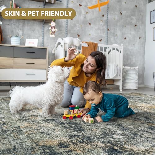 9x12 Area Rugs for Living Room Washable Bedroom Dining Room Multi Color (Multi Color / 9' x 12' (Rectangular))
