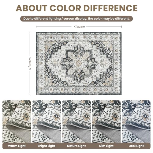 5x7 Area Rugs for Living Room (Black / 5' x 7' (Rectangular))