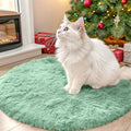 Mint Green Round Rugs for Bedroom (2 Ft Round / Mint Green)