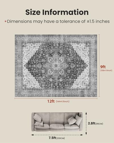Amada Large 9x12 Washable Area Rug for Living Room (9' x 12' (Rectangular) / Light/Grey)