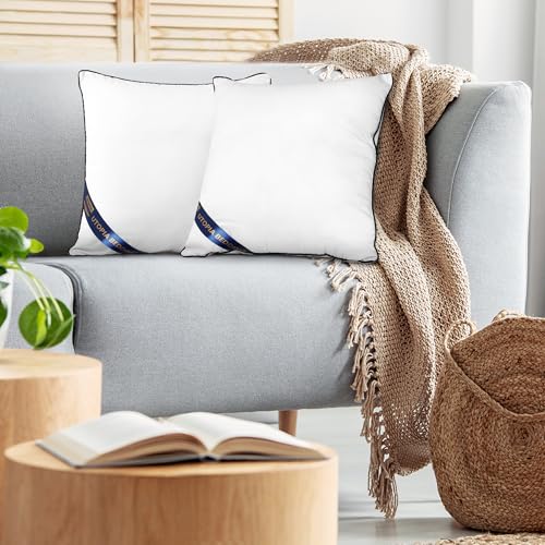 24x24 Throw Pillow Inserts (24x24 Inch)