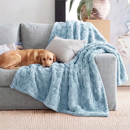 Checkered Soft Cozy Throw Blanket for Couch (Light Blue / Throw (50" X 60"))
