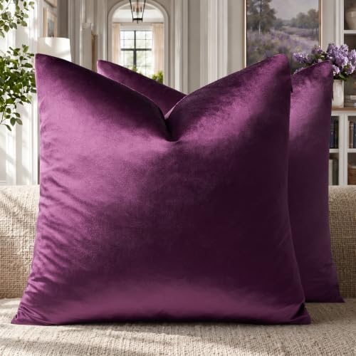 Velvet Pillow Covers 16x16 Decorative Pillows Pack of 2 Purple (Purple / 16" x 16" (Pack of 2))