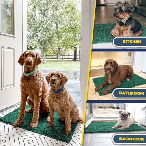Super Water Absorbent Door Mat Indoor (Dark Green / 24" x 60")