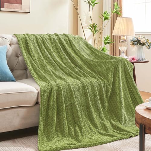 Sage Green Fleece Queen Blanket for Bed (Sage Green / Full/Queen-90x90 IN)