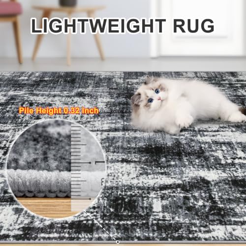 Area Rug Living Room (New-black / 4' x 6' (Rectangular))