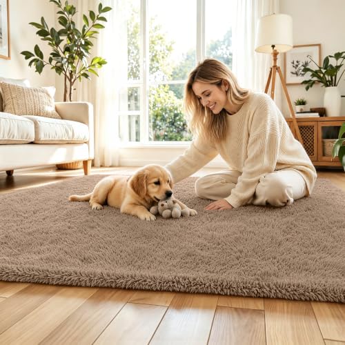 5x8 Beige Shag Area Rug for Living Room (Beige / 5' x 8' (Rectangular))