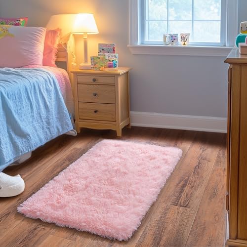 Small Area Rug (3' x 2' (Rectangular) / Pink)