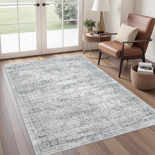 4x6 Area Rug for Entryway (Grey/Ivory / 4' x 6' (Rectangular))