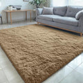 5x7 Machine Washable Large Area Rugs for Living Room (5x7 Ft / Taupe)