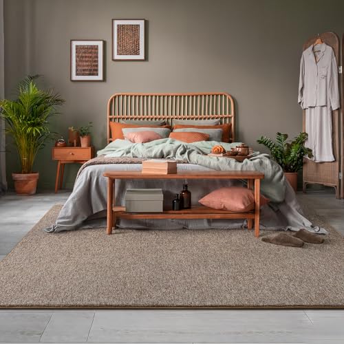 4x6 Area Rugs for Living Room Non Slip Dorm Bedroom Rug (4' x 6' (Rectangular) / Matte Brown)