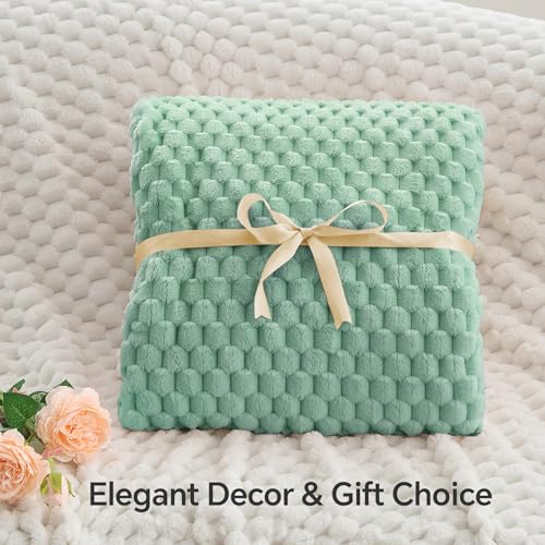 Mint Green Throw Blanket for Couch (Mint Green / Throw(50"x60"))