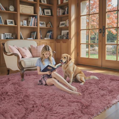 Area Rugs 9x12 Living Room (Blush / 9' x 12' (Rectangular))