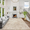 4x6 Area Rugs for Living Room (Beige / 4' x 6' (Rectangular))